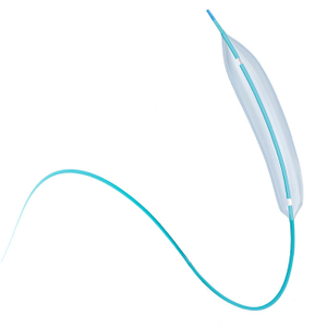 PTCA-Balloon-Dilatation-Catheter.jpg